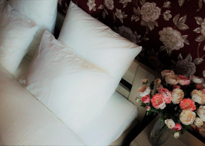 Lev Mini-hotel