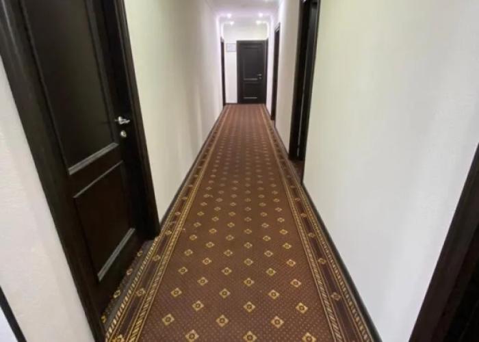 Hotel-city Hotel