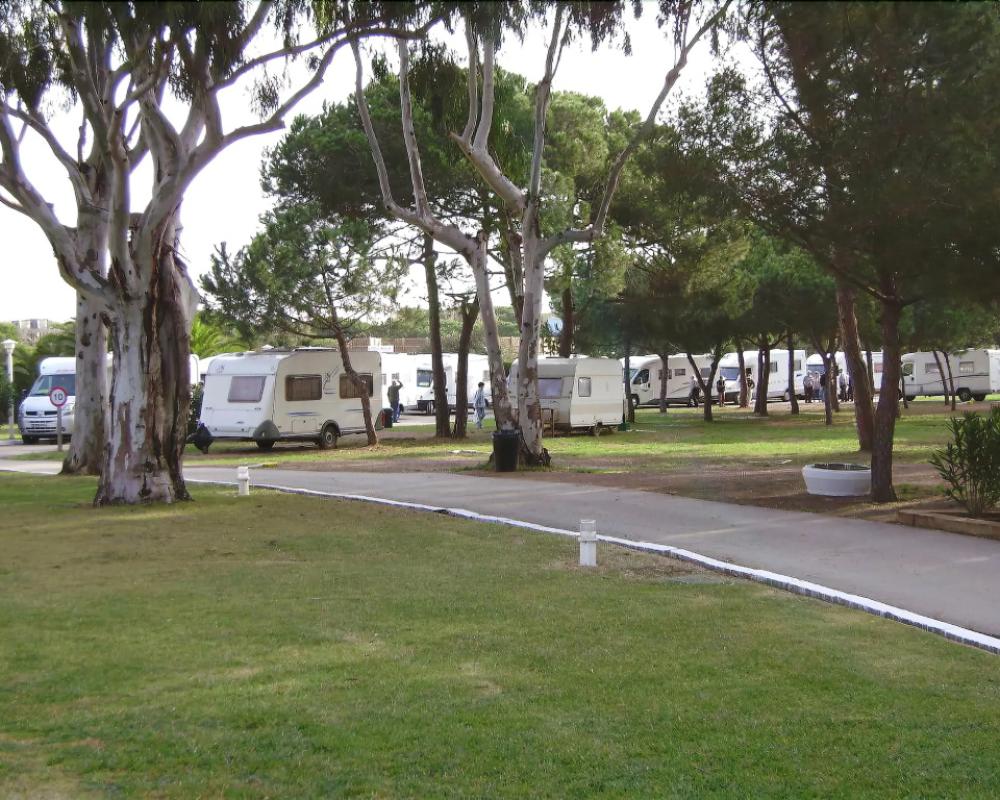 фото Camping 3 Estrellas