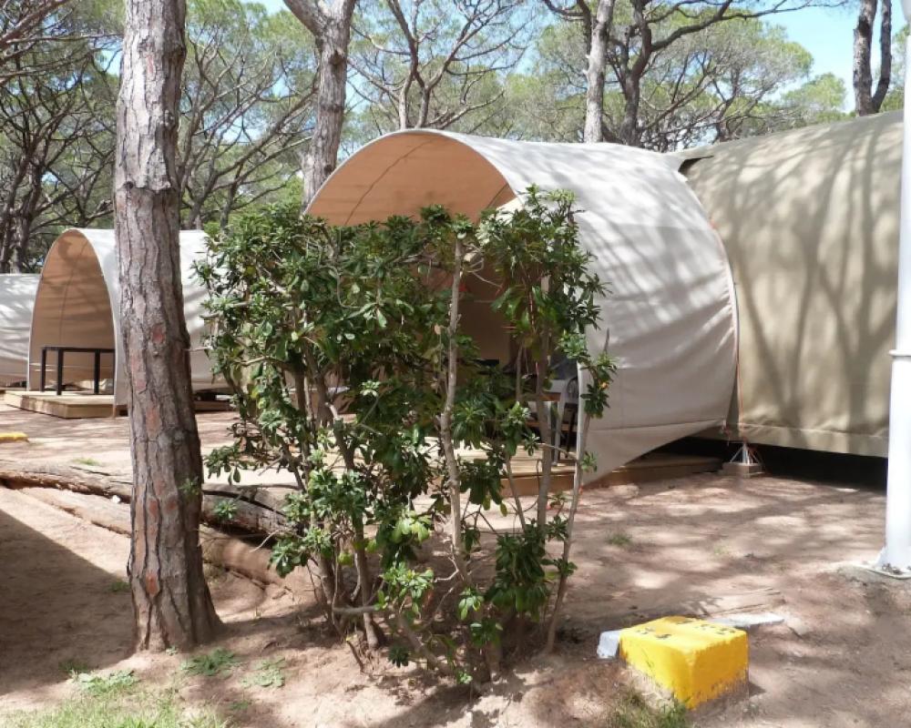 фото Camping 3 Estrellas