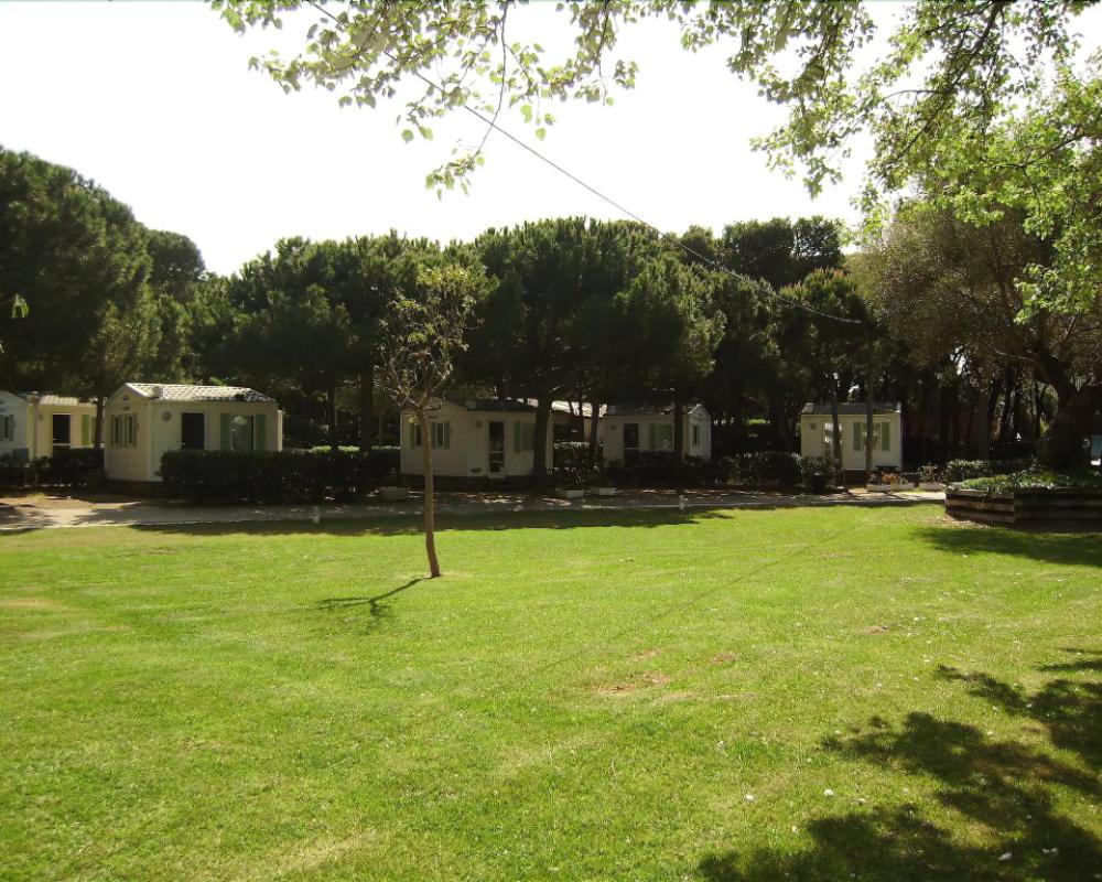 фото Camping 3 Estrellas