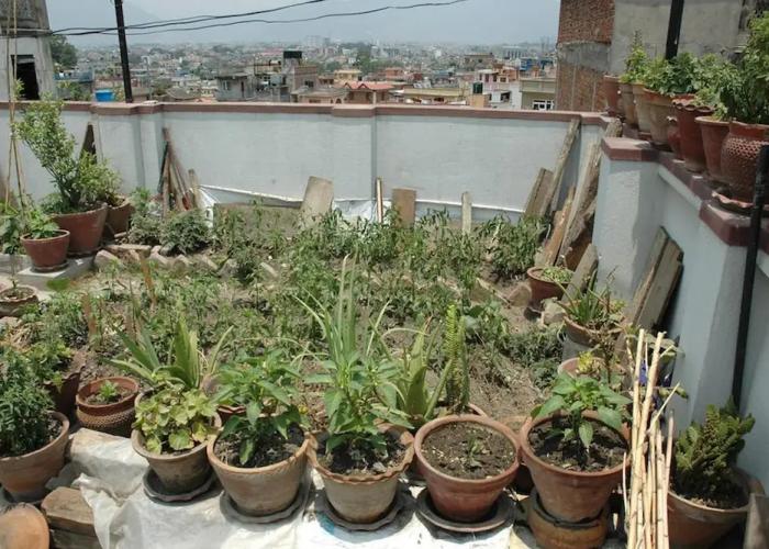 Magic Nepal Homestay