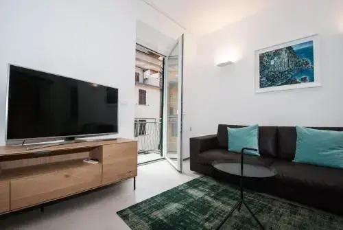 Luxury Apartment Manarola