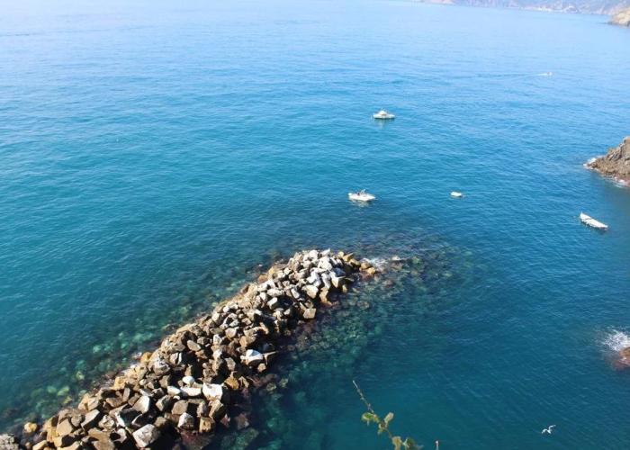 La Linea D'Acqua