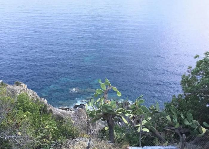 Lecci Di Soviore