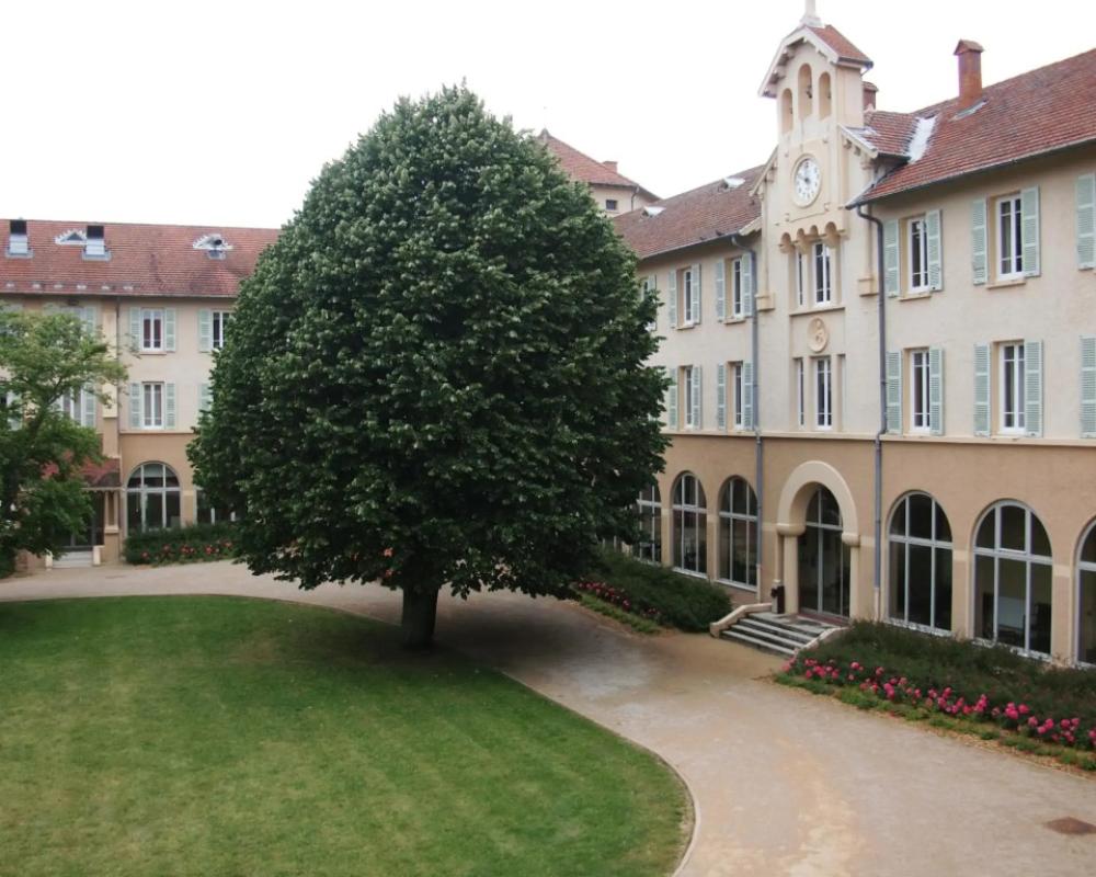 Domaine Lyon Saint Joseph