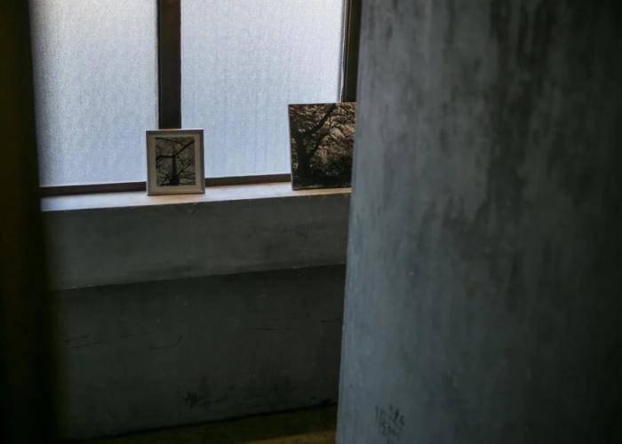 BACCHUS Kofu Guest House - Hostel