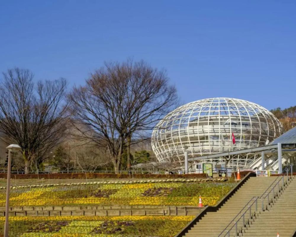 фото Toyoko Inn Kofu Station Minami 1