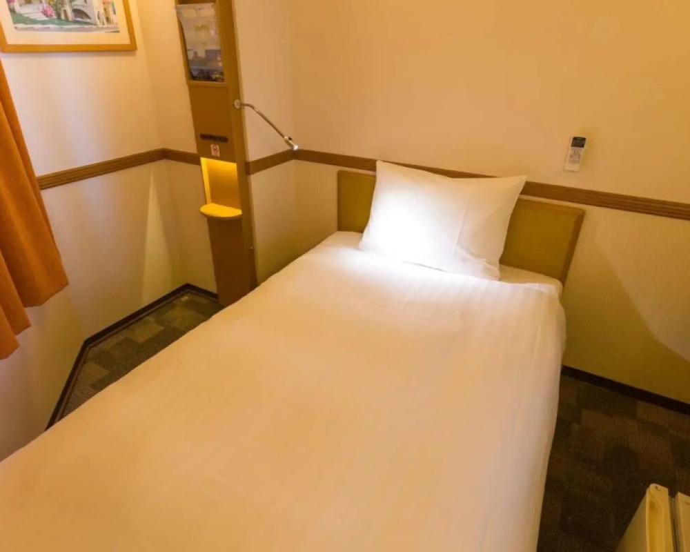 фото Toyoko Inn Kofu Station Minami 1