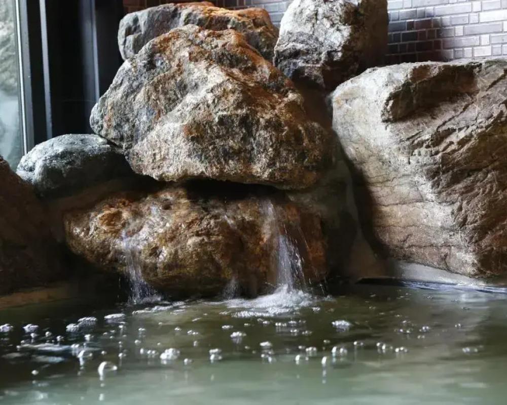 фото Dormy Inn Kofu Marunouchi Hotel