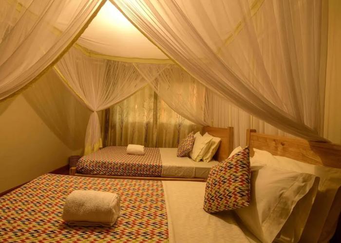 Cycad Entebbe Guest House