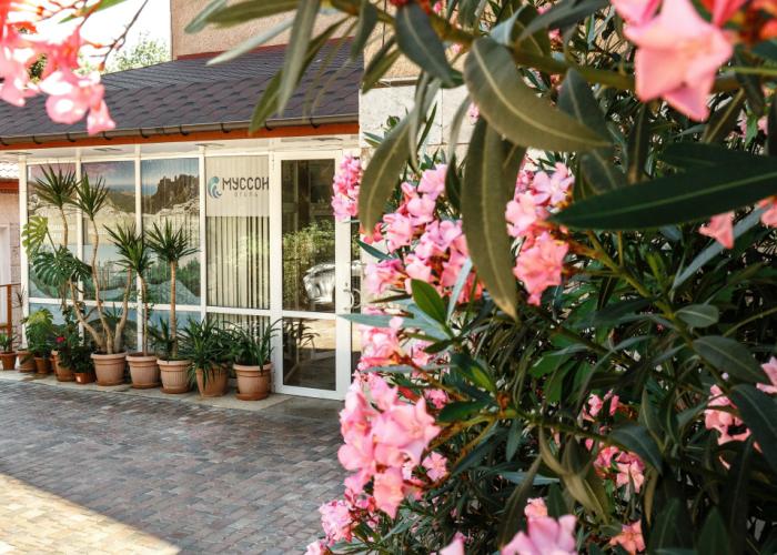 Hotel Musson