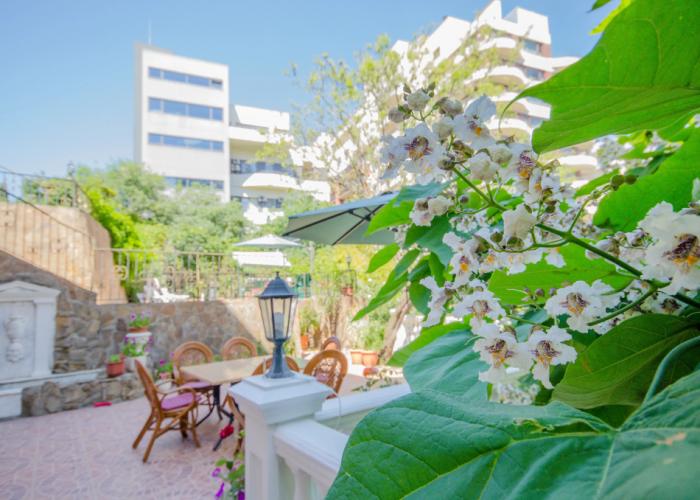Villa Bagration Guest house