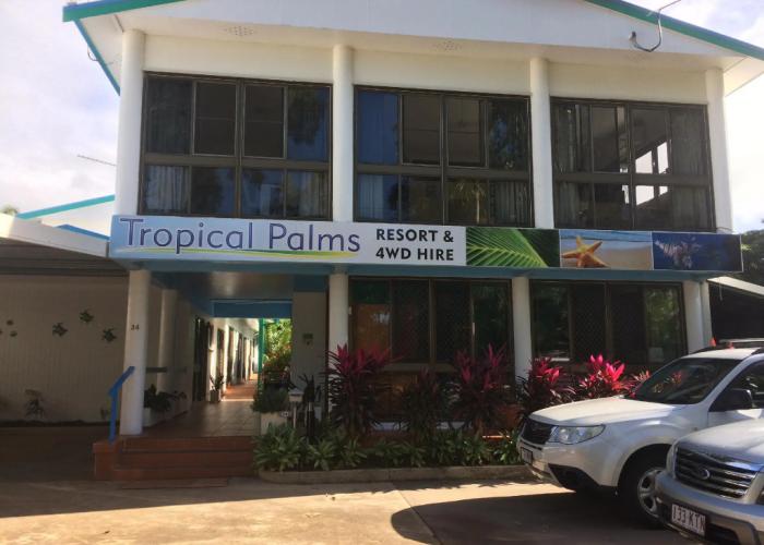 Tropical Palms