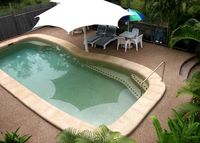 Tropical Palms