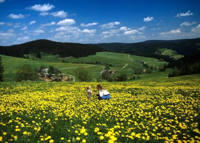 Hotel Waldeck