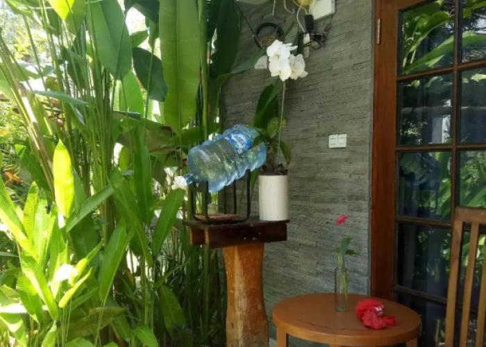 Pier26 Bali Homestay