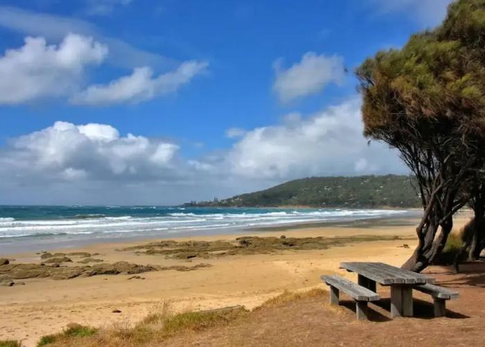 Groovy Log House Lorne Ocean View Log House Pet Friendly Freshly Renovated