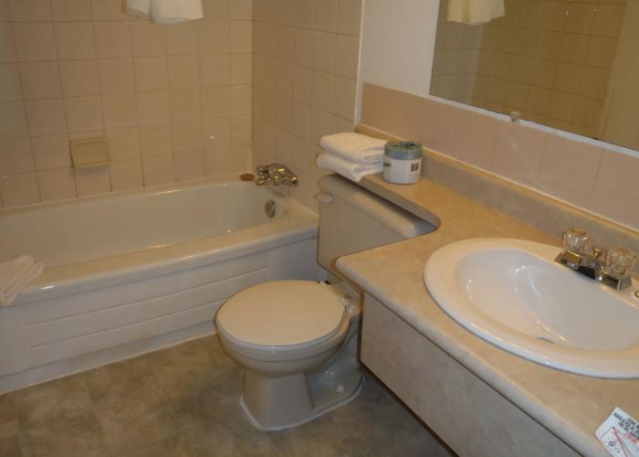 Valemount Vacation Inn