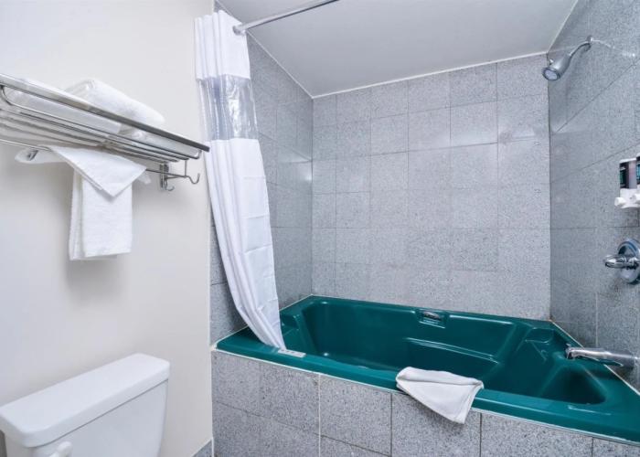 Canadas Best Value Inn Valemount