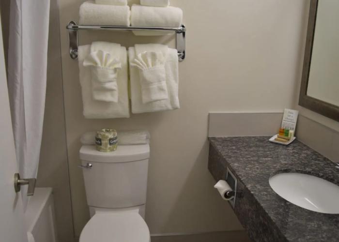 Guest House Inn & Suites