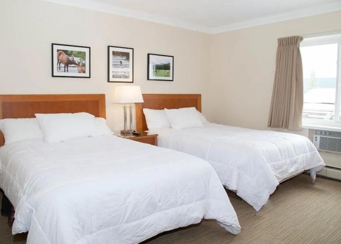 Twin Pine Inn & Suites