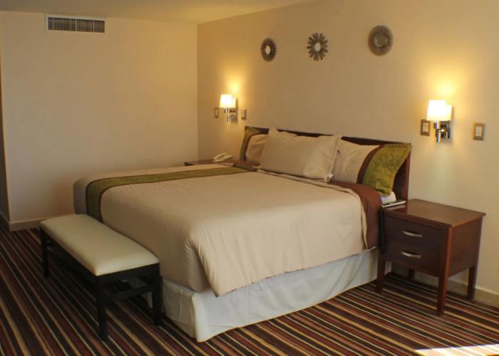 Hotel Real Plaza Aguascalientes