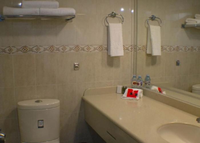 Hotel Real Plaza Aguascalientes