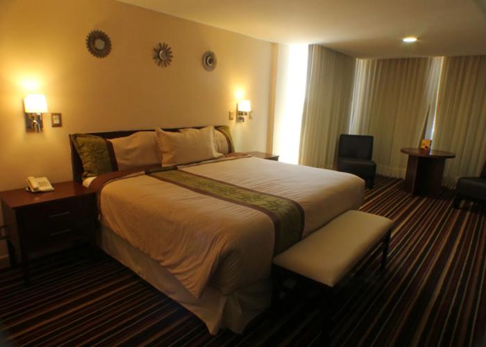 Hotel Real Plaza Aguascalientes