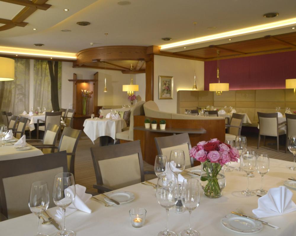 фото Hotel Celler Tor