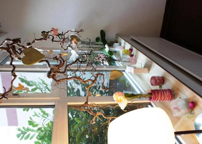 Hotel Blumlage Celle