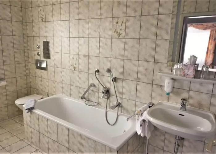 Hotel Alena