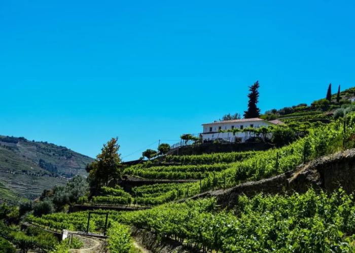 Quinta de la Rosa