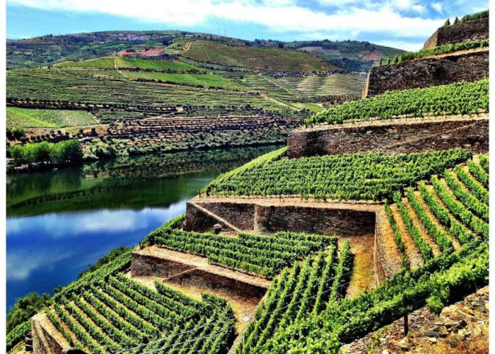 Quinta de la Rosa