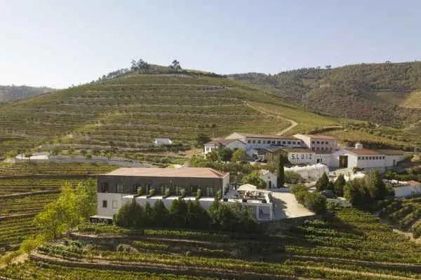 The Vine House - Quinta Sao Luiz