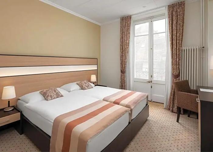 Hôtel des Alpes