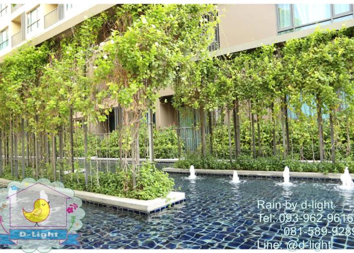 Rain Cha-Am Hua Hin by D-light