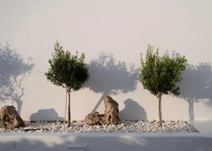 Castello Amorgos Suites