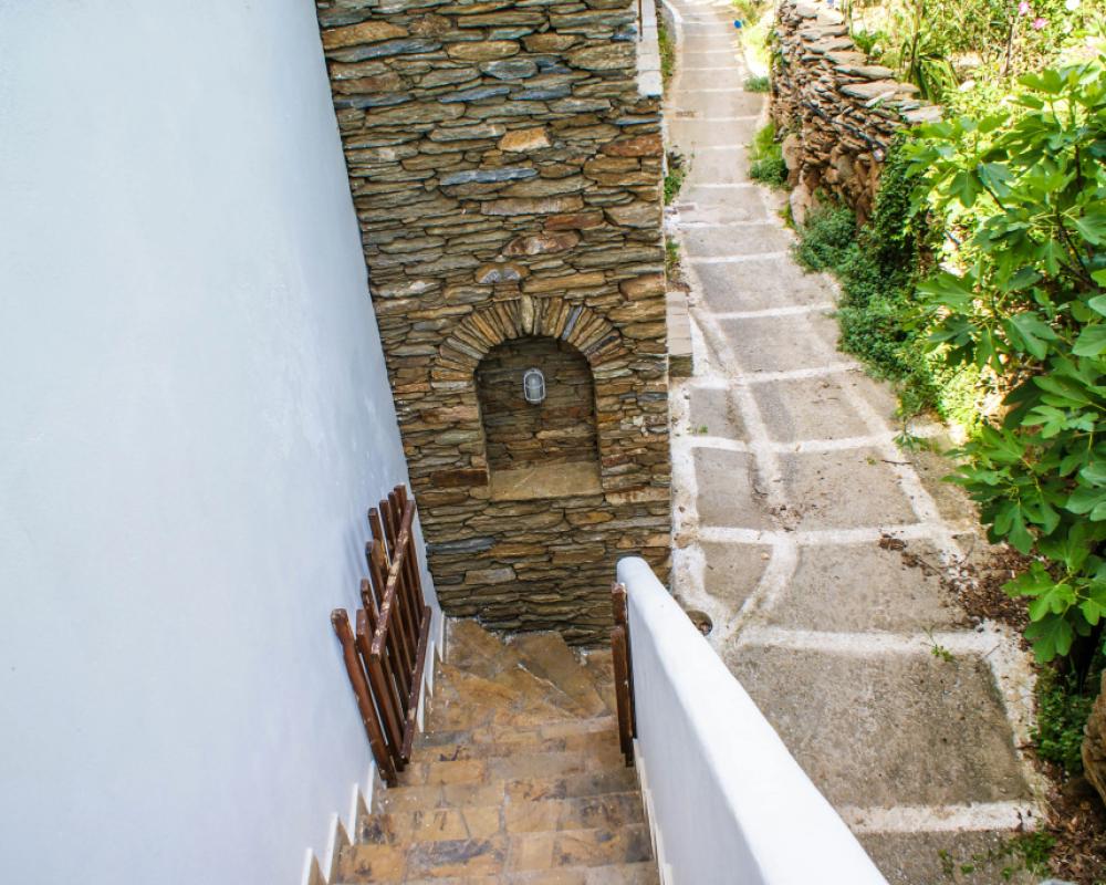 фото Amorani Studios
