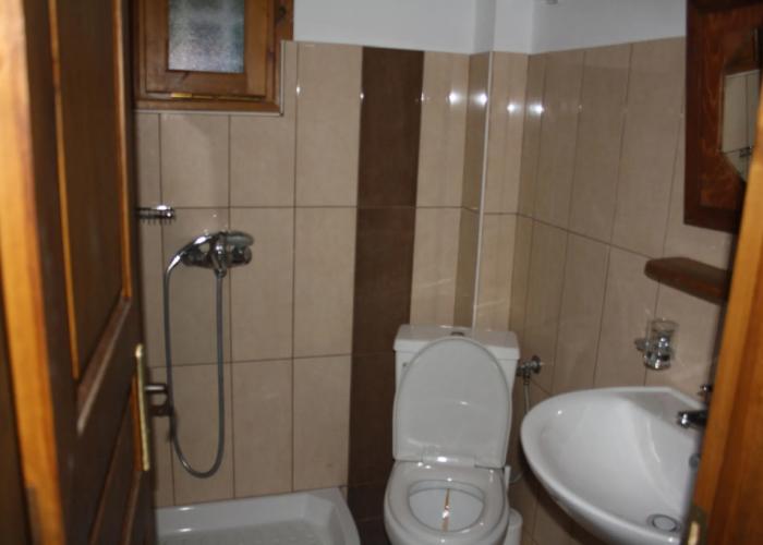 Amorani Studios