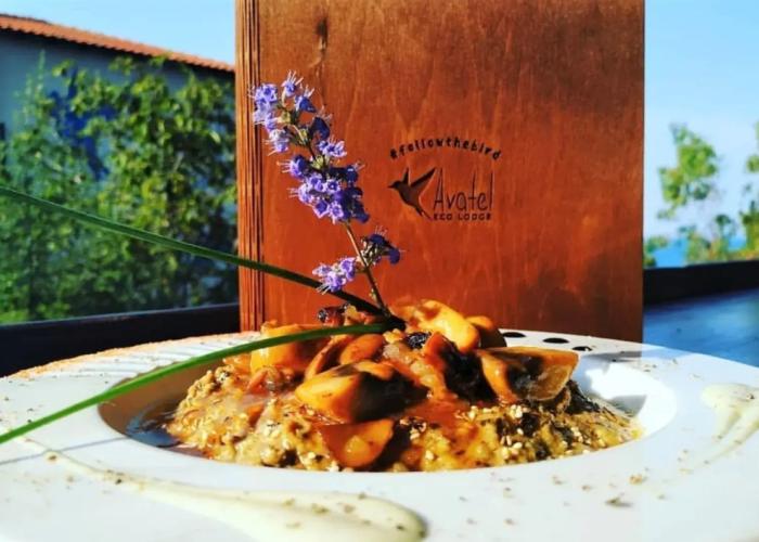 Avatel Eco Lodge