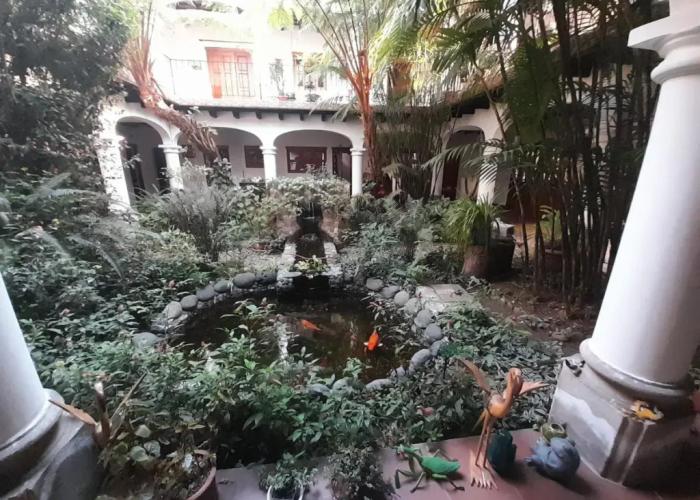 Casa Buho B&B