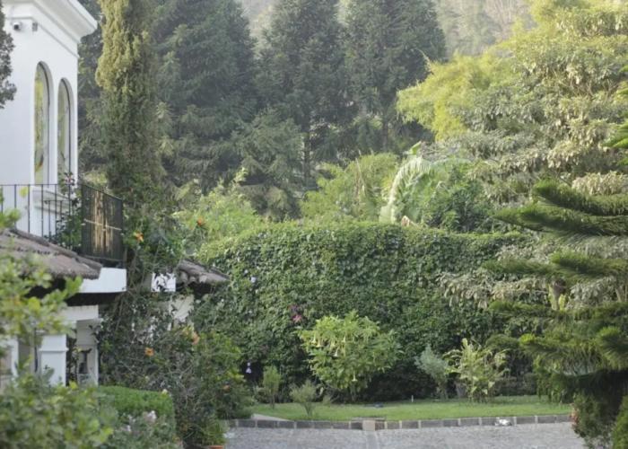 Casa Buho B&B