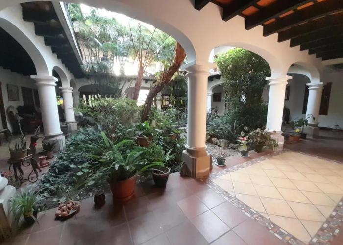Casa Buho B&B
