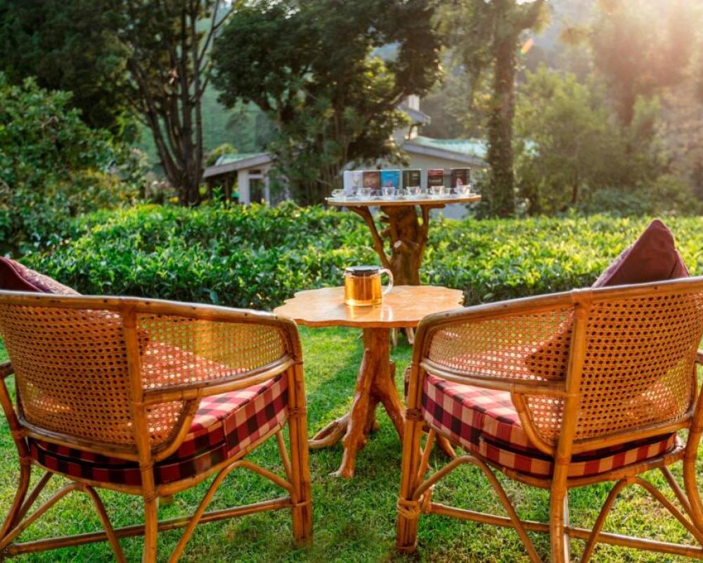 Teanest – Nature Resorts, Coonoor