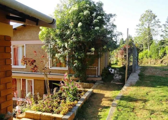 De Rock Jungle Living Resort