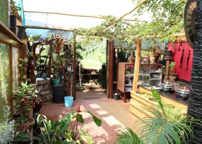 De Rock Jungle Living Resort