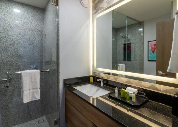 Hampton - Hilton Aguascalientes Downtown
