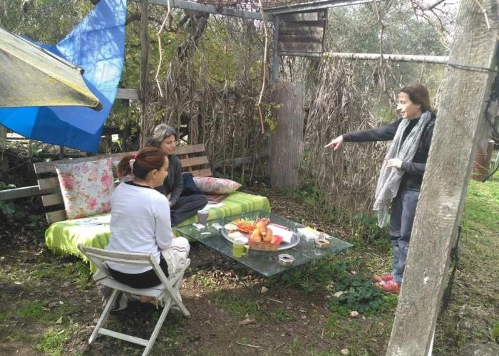 Galilee Bedouin Camplodge