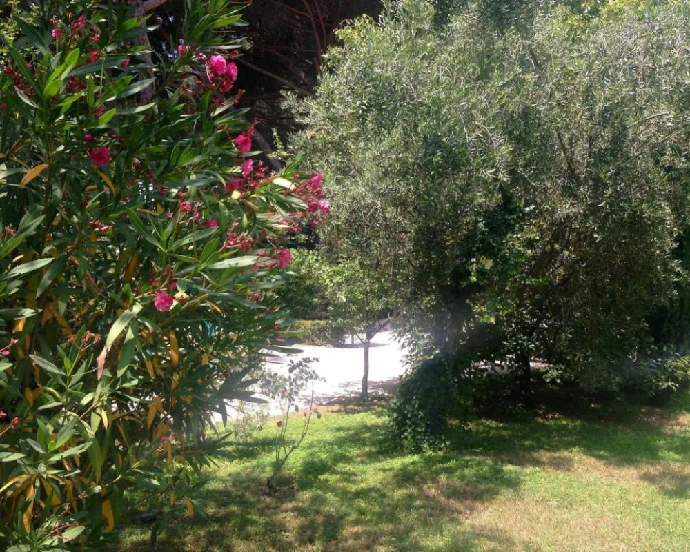 фото Villa Abbamer